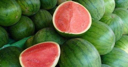 怎么回复吃瓜,轻松应对网络热议