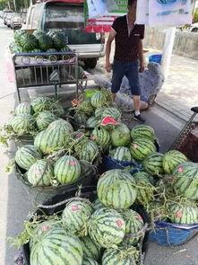 合肥北城吃瓜事件