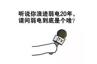 吃瓜啦如何回复,揭秘娱乐圈幕后故事，带你走进明星真实生活