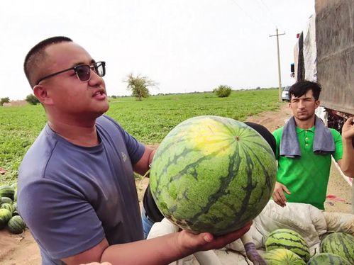 单县马楼吃瓜,瓜香四溢的乡村美食之旅