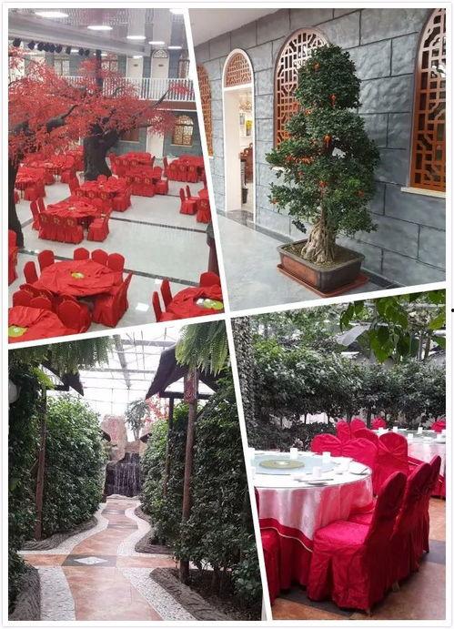 河南南阳吃瓜事件