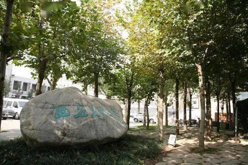 西安美院吃瓜,揭秘校园里的那些事儿